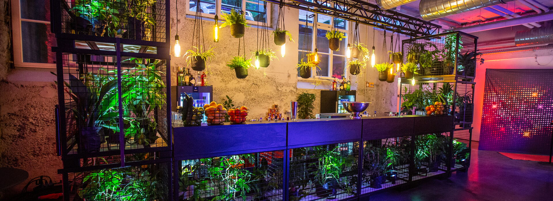 Werkcafe Ludwigsburg Gitterboxen Bar mit Pflanzen Külschrank, Früchtekorb und Hängelampen